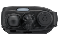 KENWOOD TK-3601 D PROFESSIONAL radiotelefon cyfrowy dPMR446 7